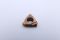 images/product/16ER-14UN%20DJ001-J66-single.jpg